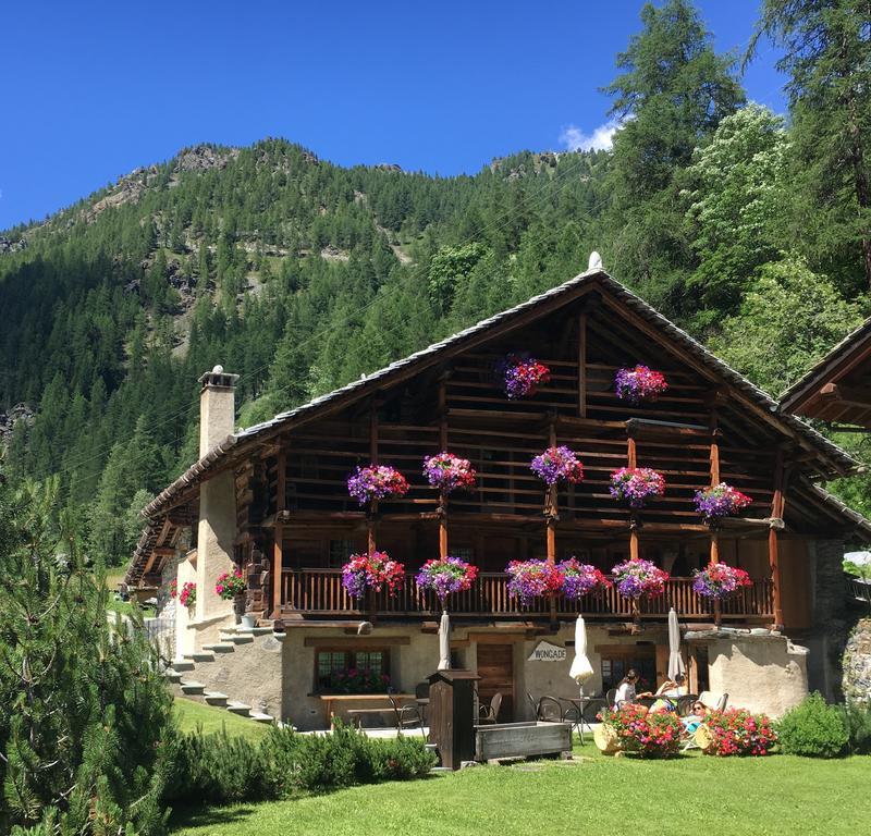 Hotel Wongade Gressoney-la-Trinité Exterior foto